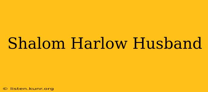Shalom Harlow Husband
